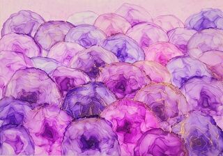 Flower Art A3 in an A2 Frame