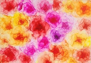 Fields of Joy
